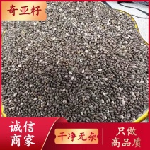 奇亚籽