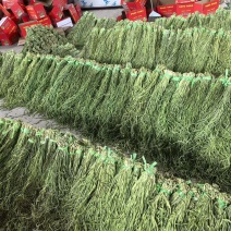云南大理贡菜干产地直供自家工厂量大从优