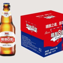 精酿啤酒500mL✘12瓶源头厂家直销