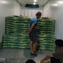 万亩耐寒韭苔种植基地一手货源，可对接各大市场和电商平台