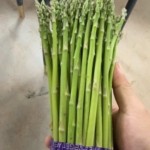 精品芦笋