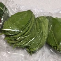 袋装精品柠檬叶