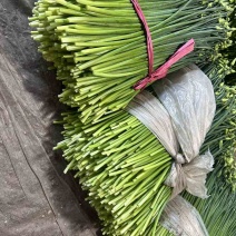 寿光新鲜韭苔
