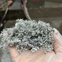 来凤藤茶