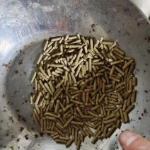 定做宠物兔饲料