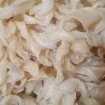 草鱼泡半成品鱼肚，鱼胶花胶等长期大量批发