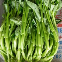 水果通菜，看着粗，但一点也不老，可以代替手撕包菜！