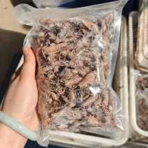 26年头茬纯母去翅东亚飞蝗产地直销一斤一袋