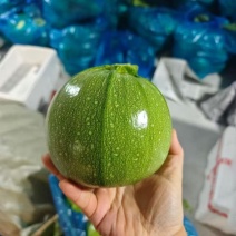 精品圆南瓜