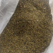 大量出售紫云英种子