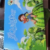 泡沫箱，纸板，吸水纸，胶带，各种包装礼品盒
