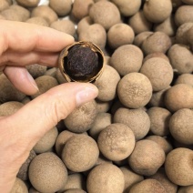 桂圆干大量现货
