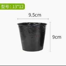 营养钵厂家直销型号13*12实际口径9.5cm高9cm