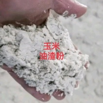 玉米油渣粉优质有机肥原料牛羊猪养殖饲料河北直供