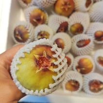 大号无花果