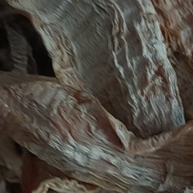 天然笋干