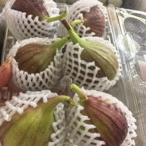 波姬红无花果