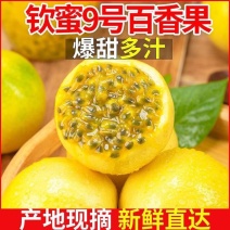 【一件代发】广西黄金百香果供应电商团购商超