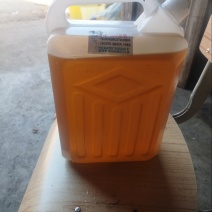 精品山茶油产地一手货源全国发货量大价优欢迎随时联系