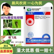 威远烛龙80%烯啶吡蚜酮烯啶虫胺吡蚜酮水稻稻飞虱农药正