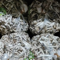 蟹味菇