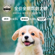 犬粮狗粮宠物食品全犬全价增肥增强体质助消化壮骨高钙不掉毛