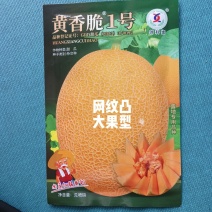 黄香脆1号哈蜜瓜种子黄皮红肉大果型抗病抗裂
