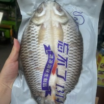 冷冻新鲜苏丹鱼忘不了鱼皇帝鱼开背淡水鱼酒宴商用