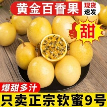 正宗广西海南钦蜜9号黄金百香果大果新鲜现摘应季黄色孕妇鲜
