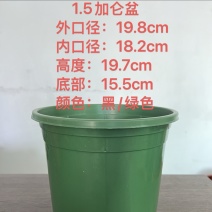 加仑盆：基地盆，育苗杯添加抗老化原料耐太阳晒