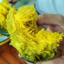 爆粉高品质贝贝