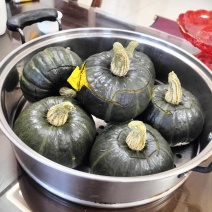 惠和1号贝贝南瓜