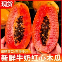 【树熟木瓜】带箱5.2-6斤单果400g起