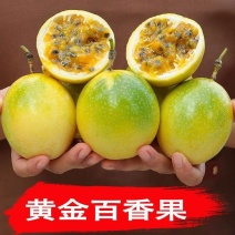 【20枚】正宗海南广西钦蜜九号黄金百香果新鲜孕妇应季水果