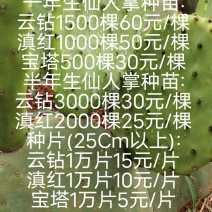 种苗、种片
