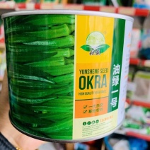 黄秋葵种子高产绿秋葵种子南北易种植阳台盆栽蔬菜种子庭院种