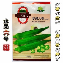 水果秋葵种子黄秋葵耐老化嫩滑耐热高产抗病秋葵种籽春秋播种