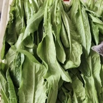 油麦