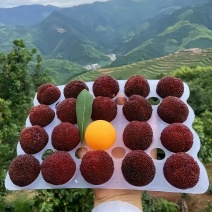 仙居杨梅