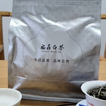 2026年高山纯荒福鼎白茶