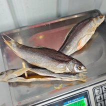 鲮鱼干土鲮鱼干