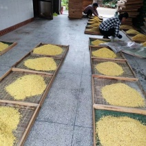 干桂花(代加工)，金桂，银桂，丹桂(工厂一手批发)