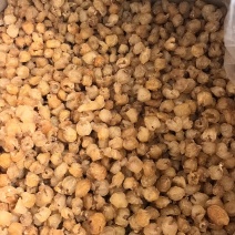 源头工厂批发广西博白精品桂圆肉无硫自然烘干无核龙眼肉多品种