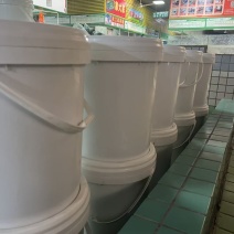 盐渍海蜇丝（广西东兴）