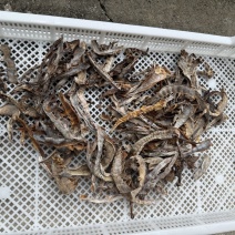 温州泰顺高山笋干