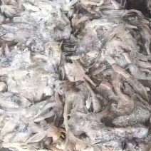 鳕鱼排一天一柜
