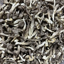 鹿茸菇大量现货厂家直销规格齐全全国发货