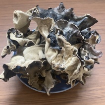 毛木耳头茬木耳白背大木耳原货木耳新货大片脆木耳白背黑木耳