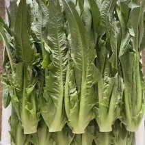 油麦菜