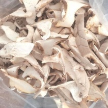 灵芝菇鲜品干品系列***********